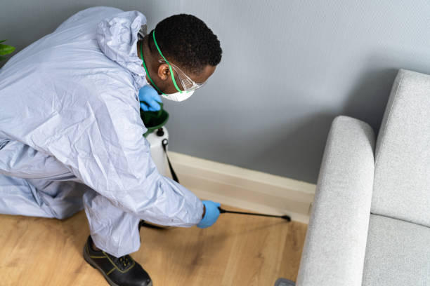 Best Pest Prevention Services  in Princeton, MO